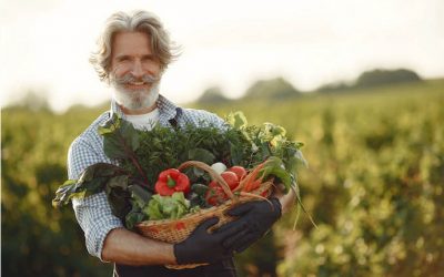 farmer work visa consultant processingform bd